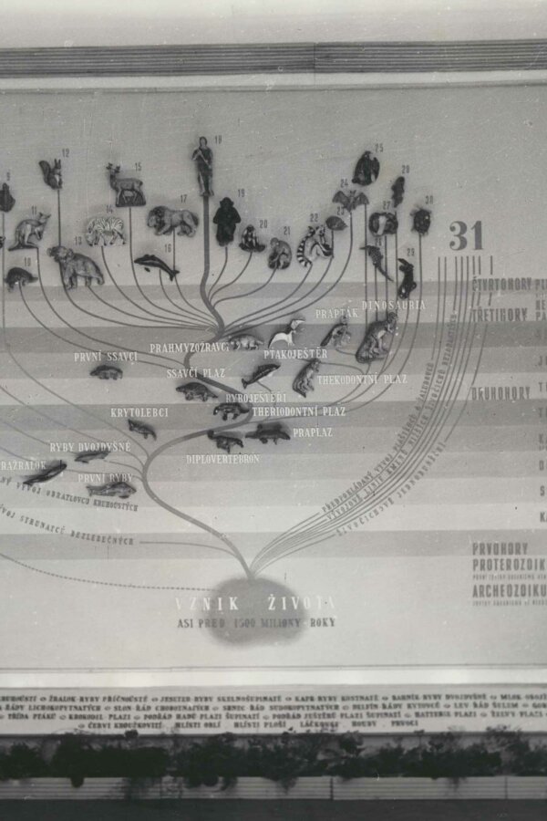 © Karel Otto Hrubý, Archiv Dům umění města Brna